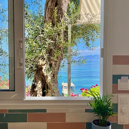 Kohyli Boutique Apartamento